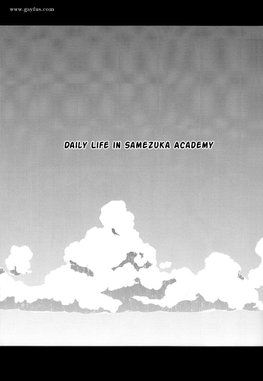 picture 04.png