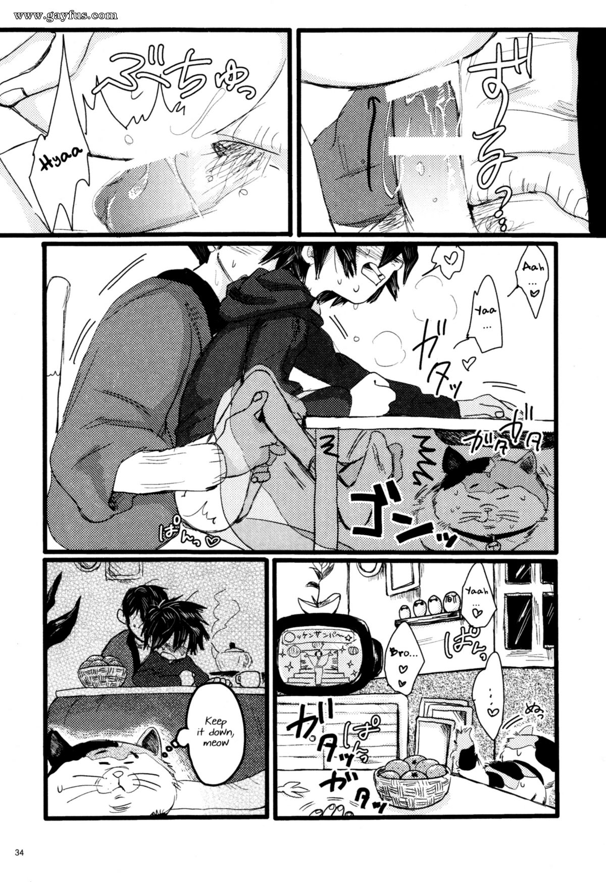 picture 33.png