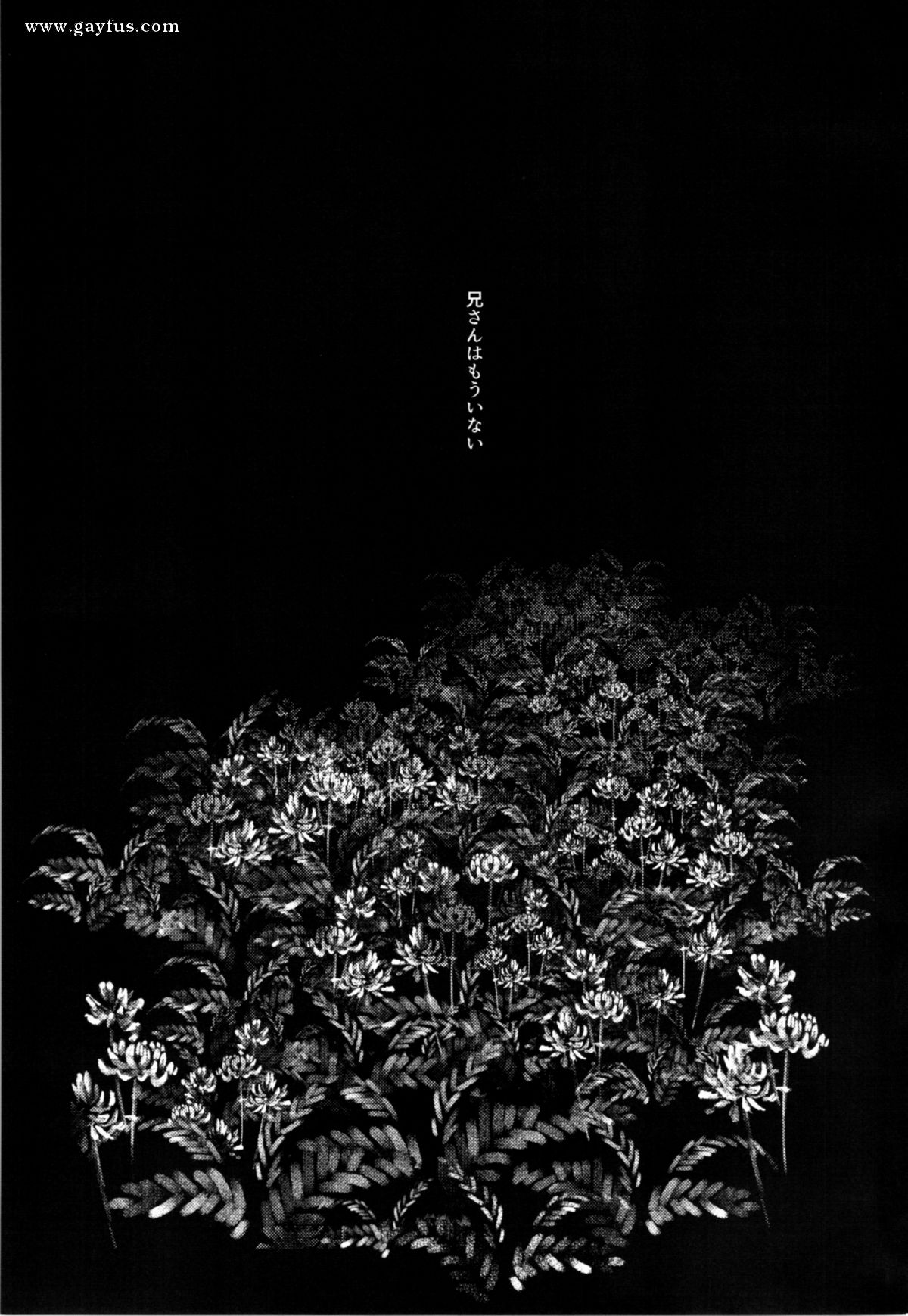 picture 02.png