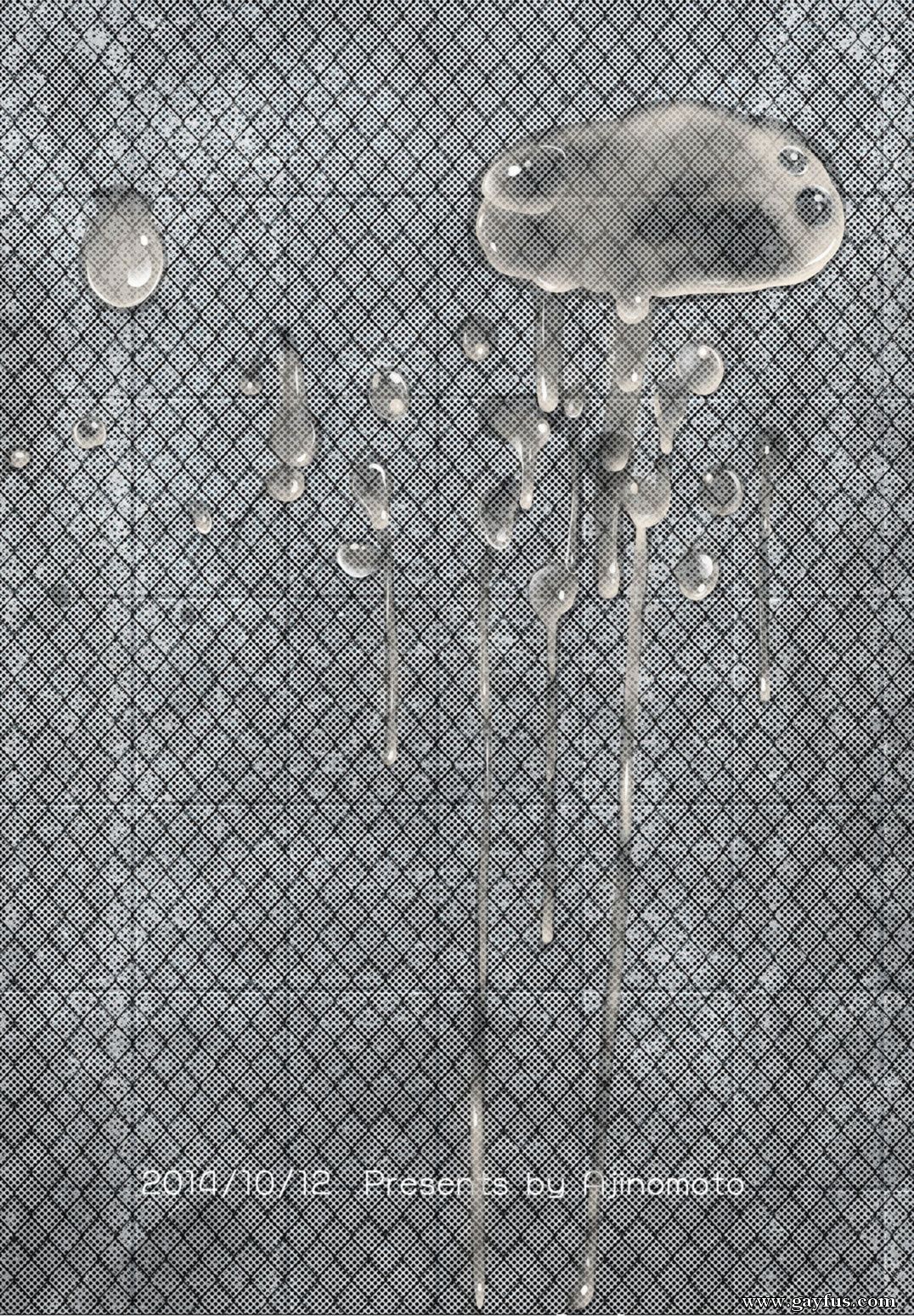 picture 48.jpg