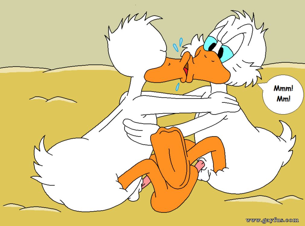 picture 17.png