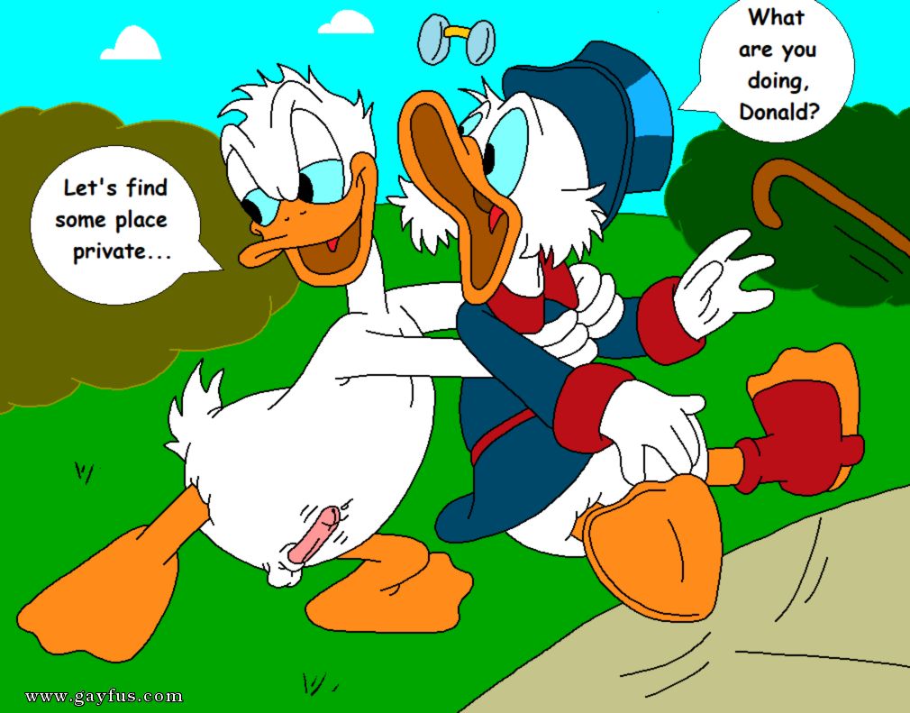 picture 33.png