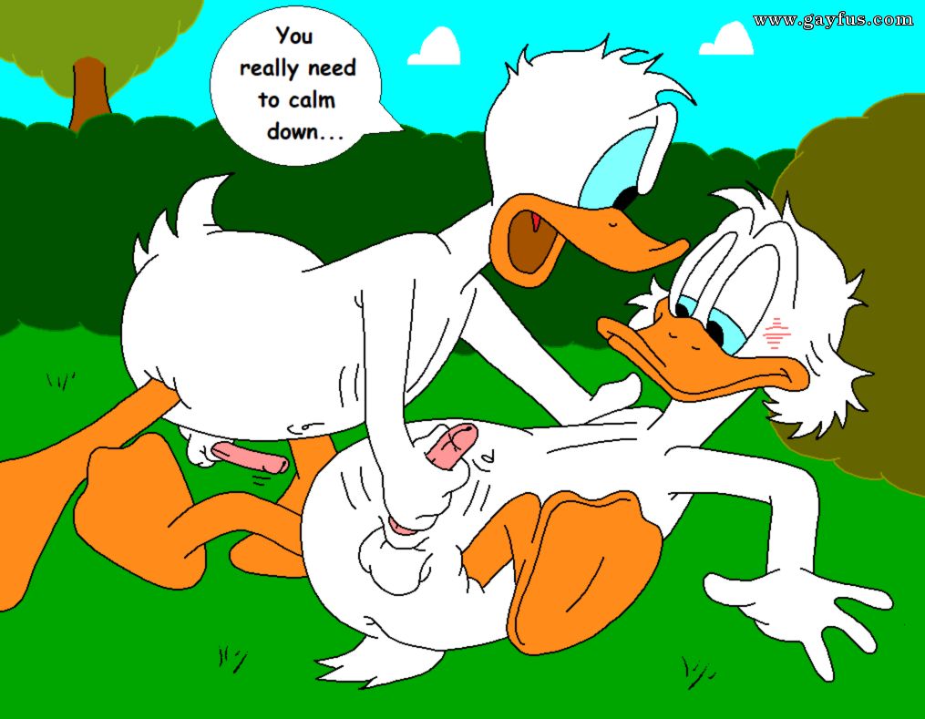 picture 36.png