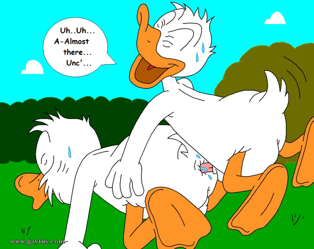 picture 41.png