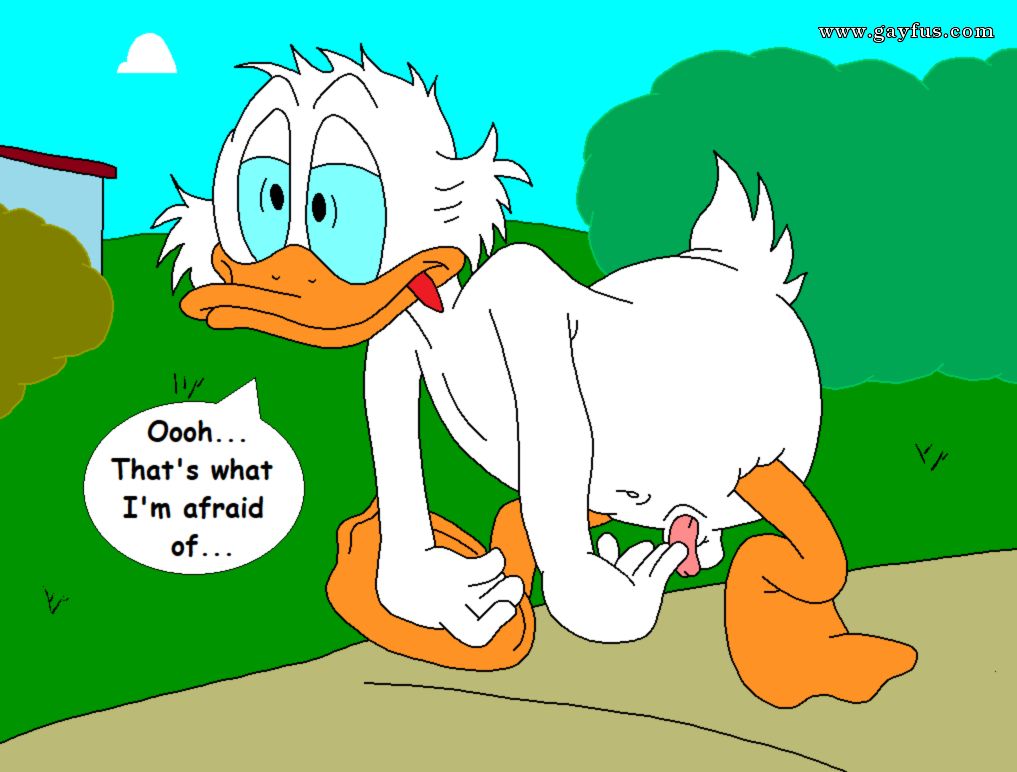 picture 46.png