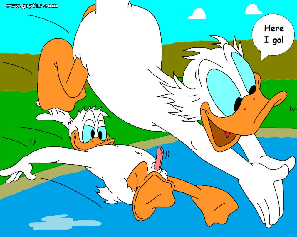 picture 48.png