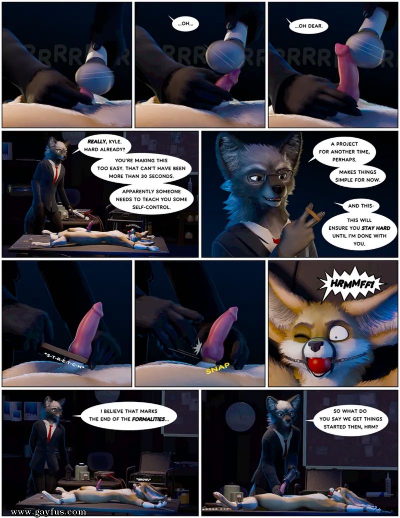 picture 11.jpg