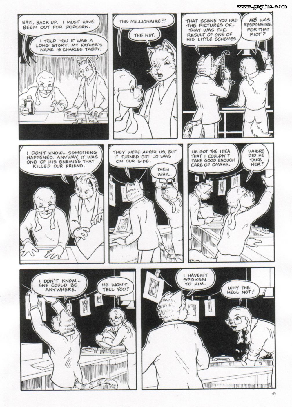 picture 46.jpg