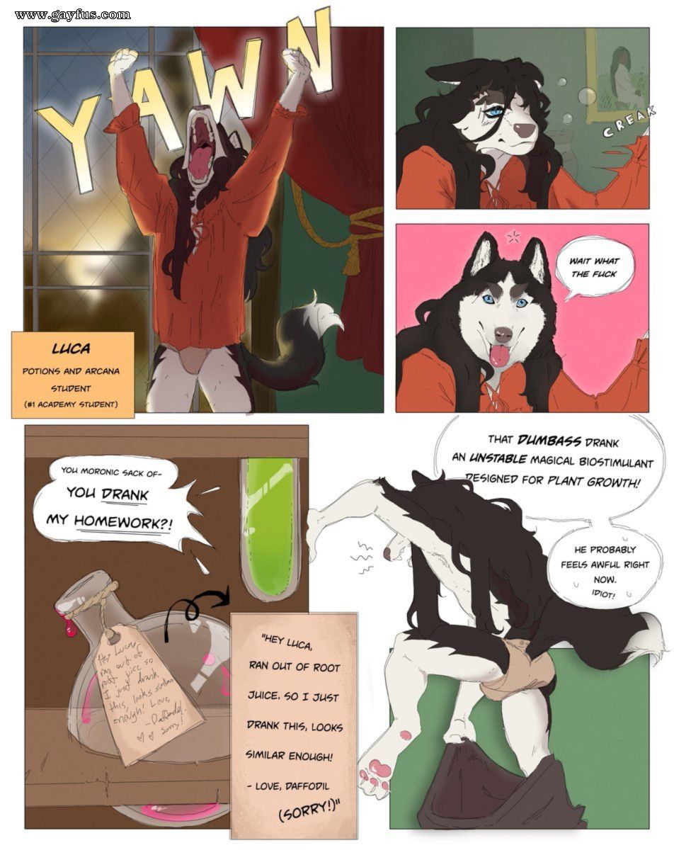 picture 01.jpg
