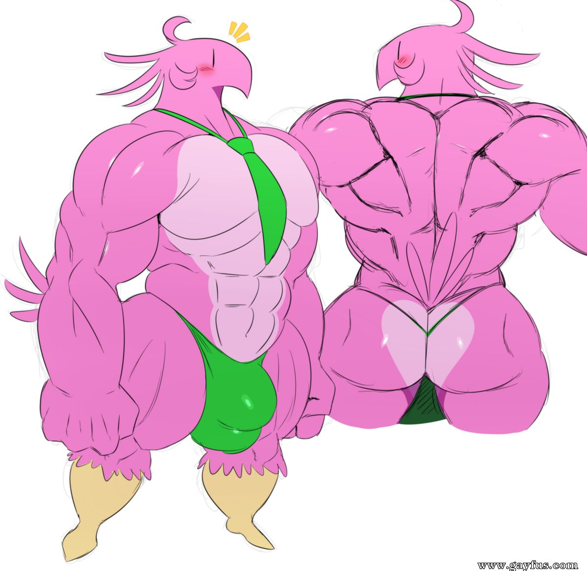 picture 05.png