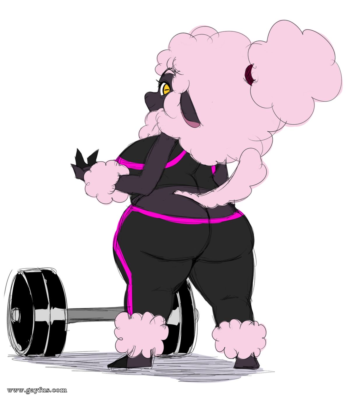 picture 48.png