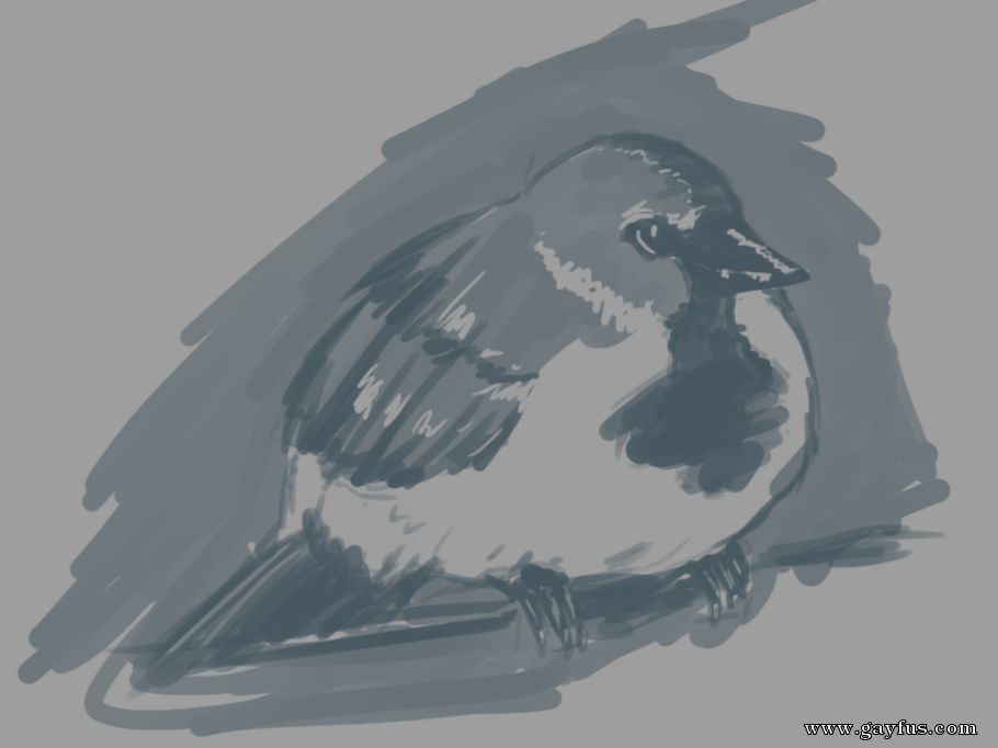 picture 98.png
