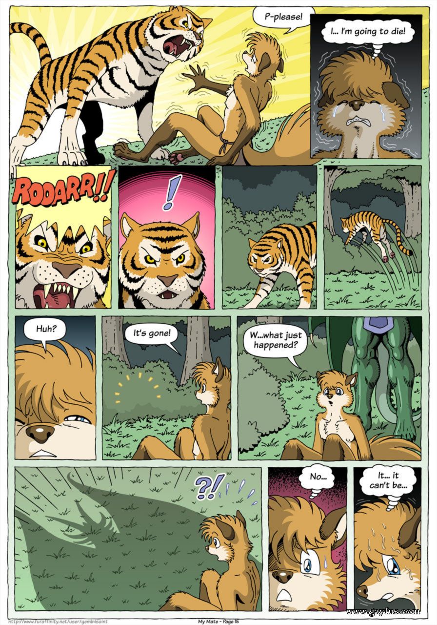picture 15.jpg