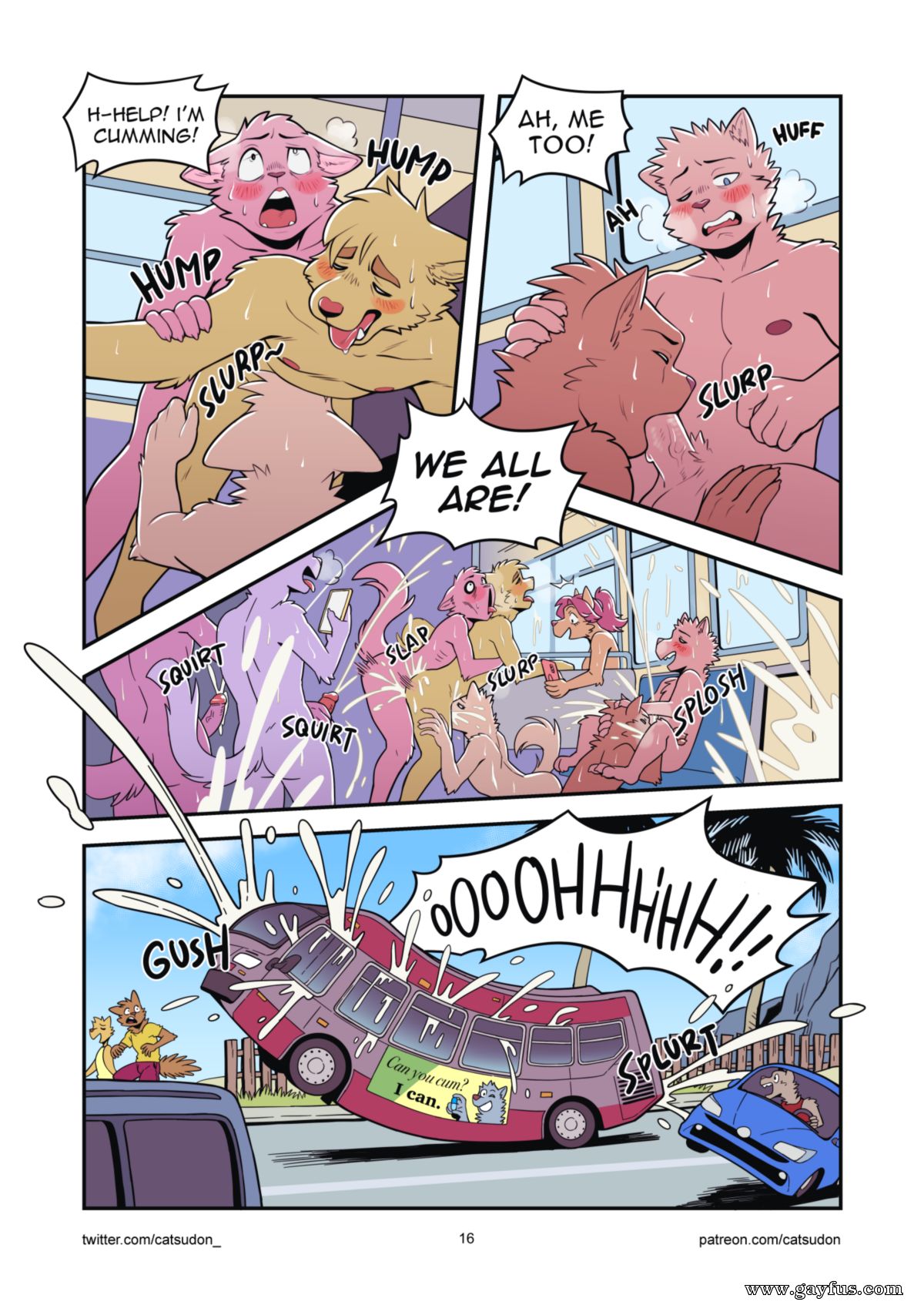 picture 16.png