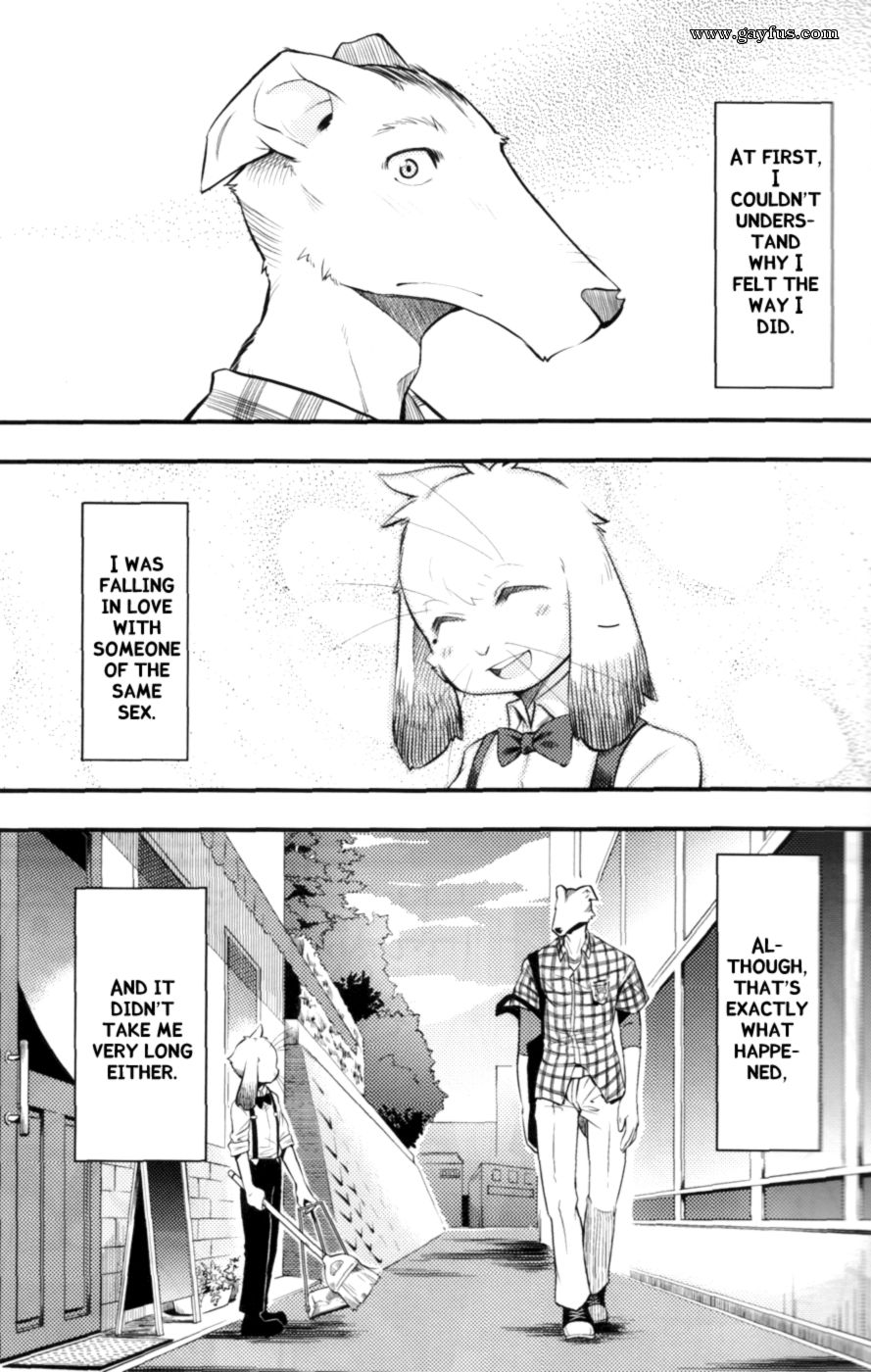 picture 05.png