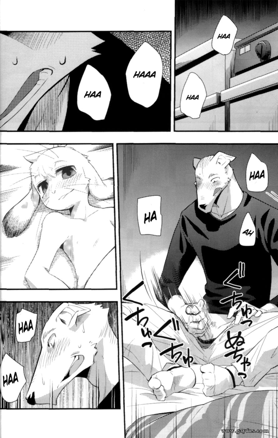 picture 26.png