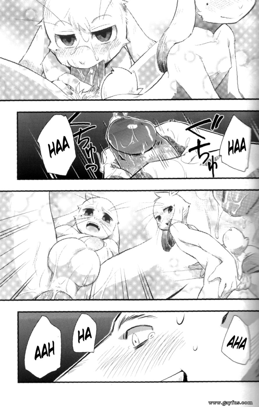 picture 27.png