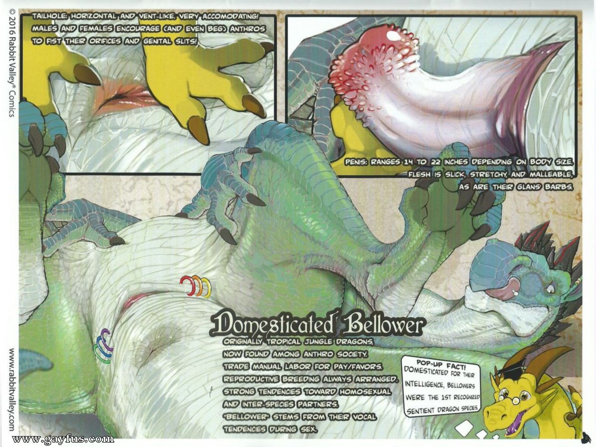 picture 31.jpg