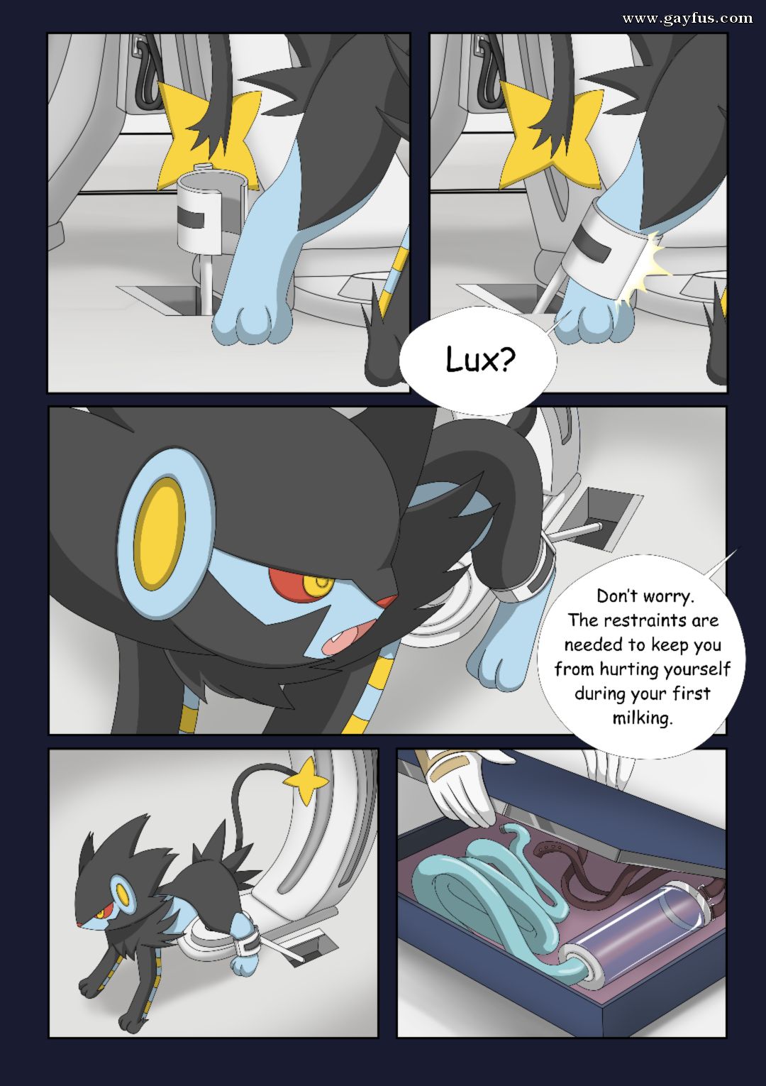 picture 07.png