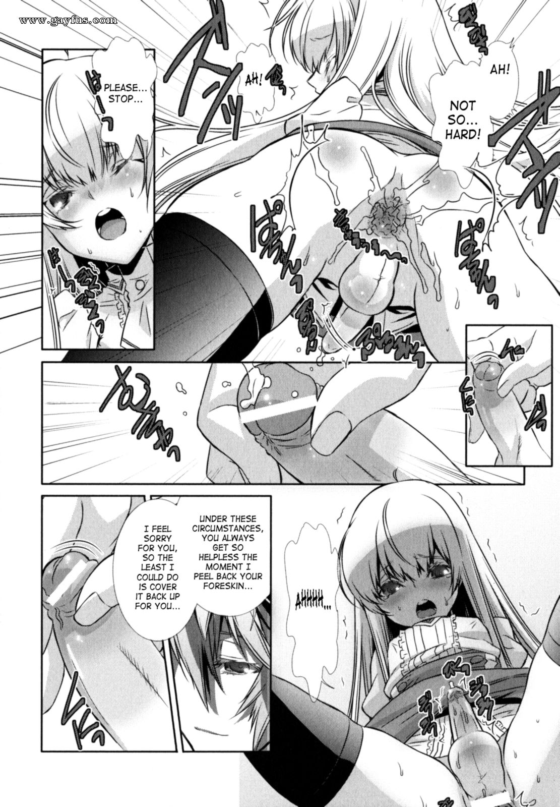picture 12.png
