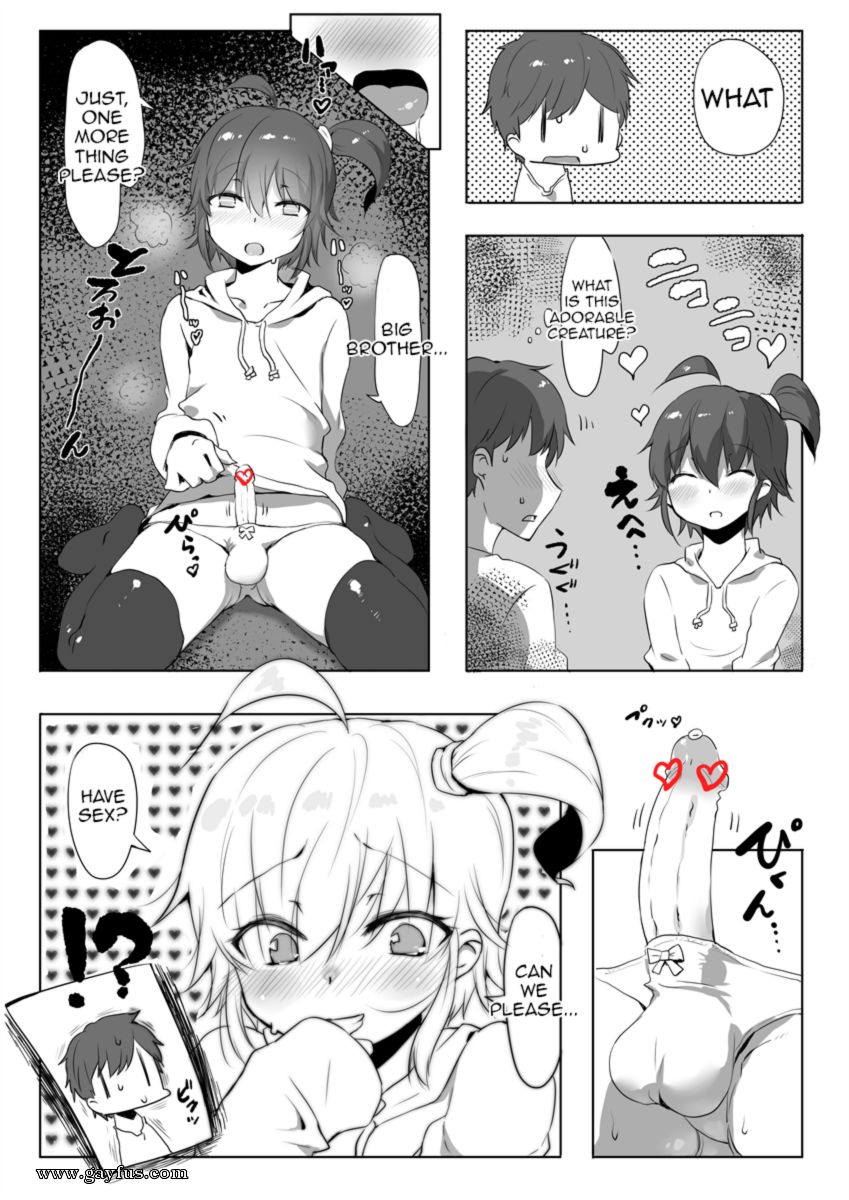 picture 06.png