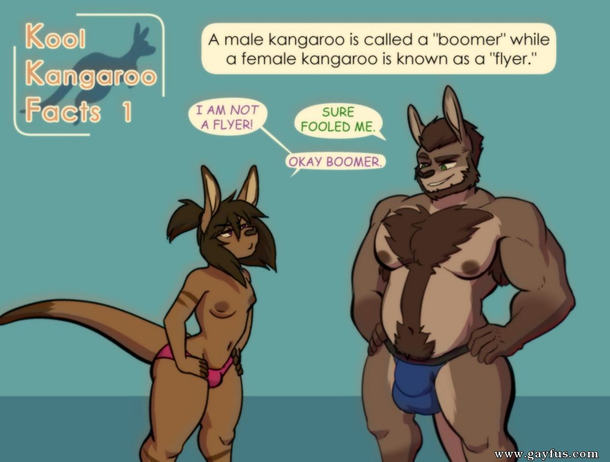 Furry porn kangaroo gay comics