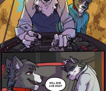 comic Max's Car Problem