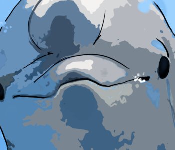 picture 96.png