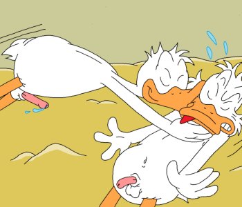 picture 14.png