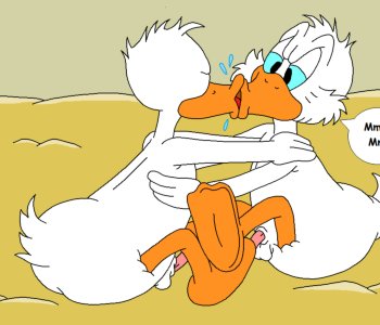 picture 17.png
