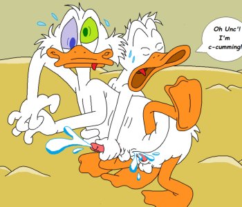picture 21.png