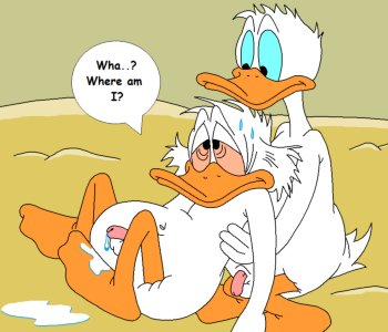 picture 23.png