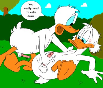 picture 36.png