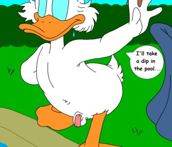 picture 47.png