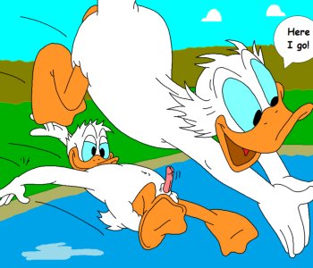 picture 48.png