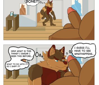 The Mysterious Bone Porn Comics