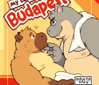 My Last Night in Budapest Porn Comics