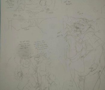picture 15.jpg