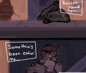 Incats! Porn Comics