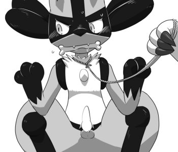 picture 11.png