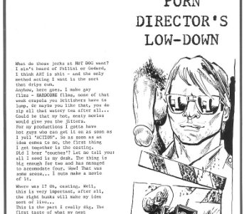 comic Porn Directors Lowdown