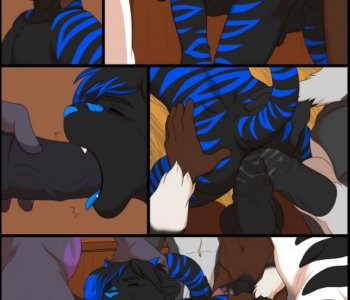 comic Heya Tiger